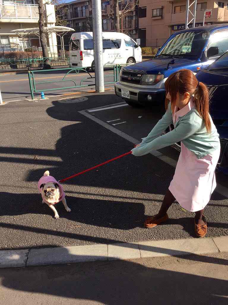ぱちんこオリ術メガMIXの連載コラム「ここじょぶ。」の撮影、ナースコスプレで犬の散歩をする成瀬心美