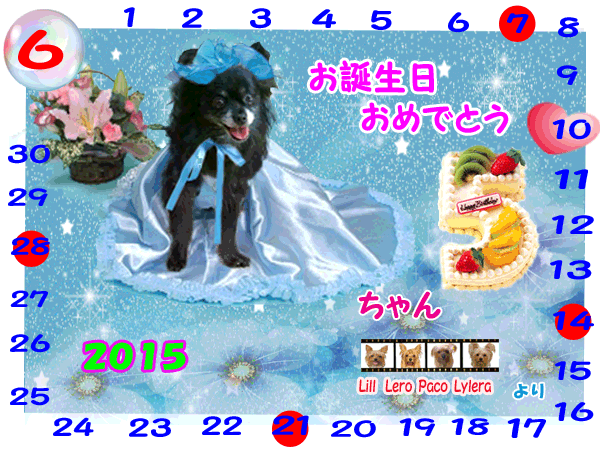 2015-06-10ぽーちゃん(5歳)