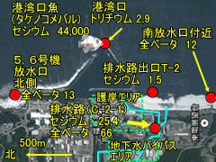 福島第一近くの外洋から放射性物質