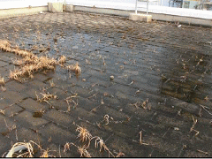 高濃度の汚染水が放置された２号機建屋の大物搬入口の屋上