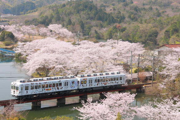 2009年4月 和歌山電鐵貴志川線 大池遊園