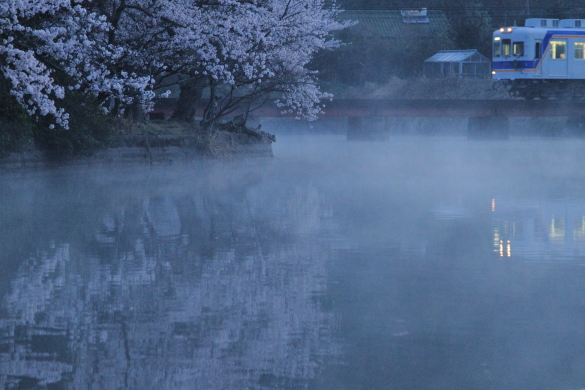 2011年4月 和歌山電鐵貴志川線 大池遊園