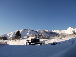 DSCF4597.jpg