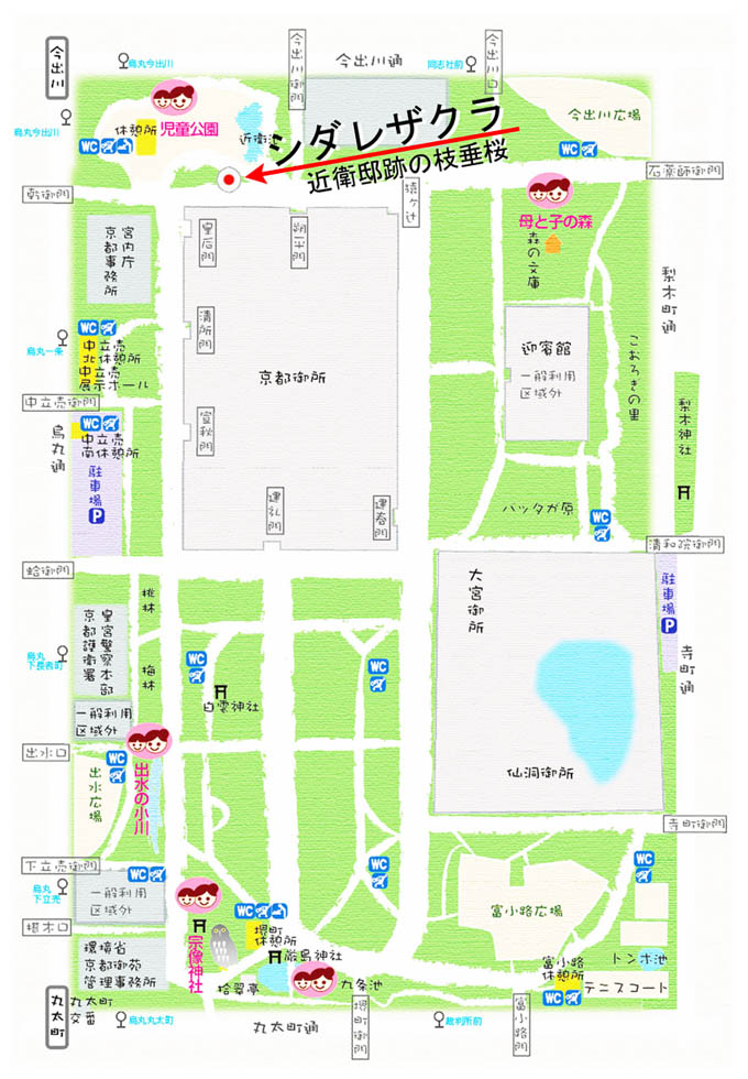 map_konoye329.jpg