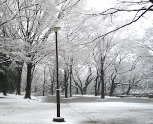 雪と街灯
