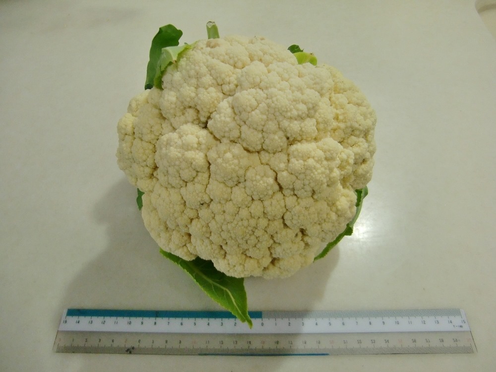 150201cauliflower
